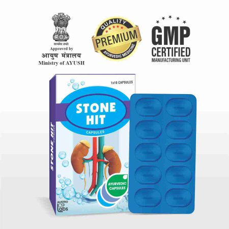 Austro Stone Hit Cap