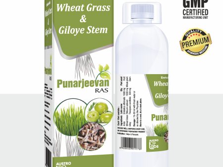 Austro Punarjeevan Ras 500Ml